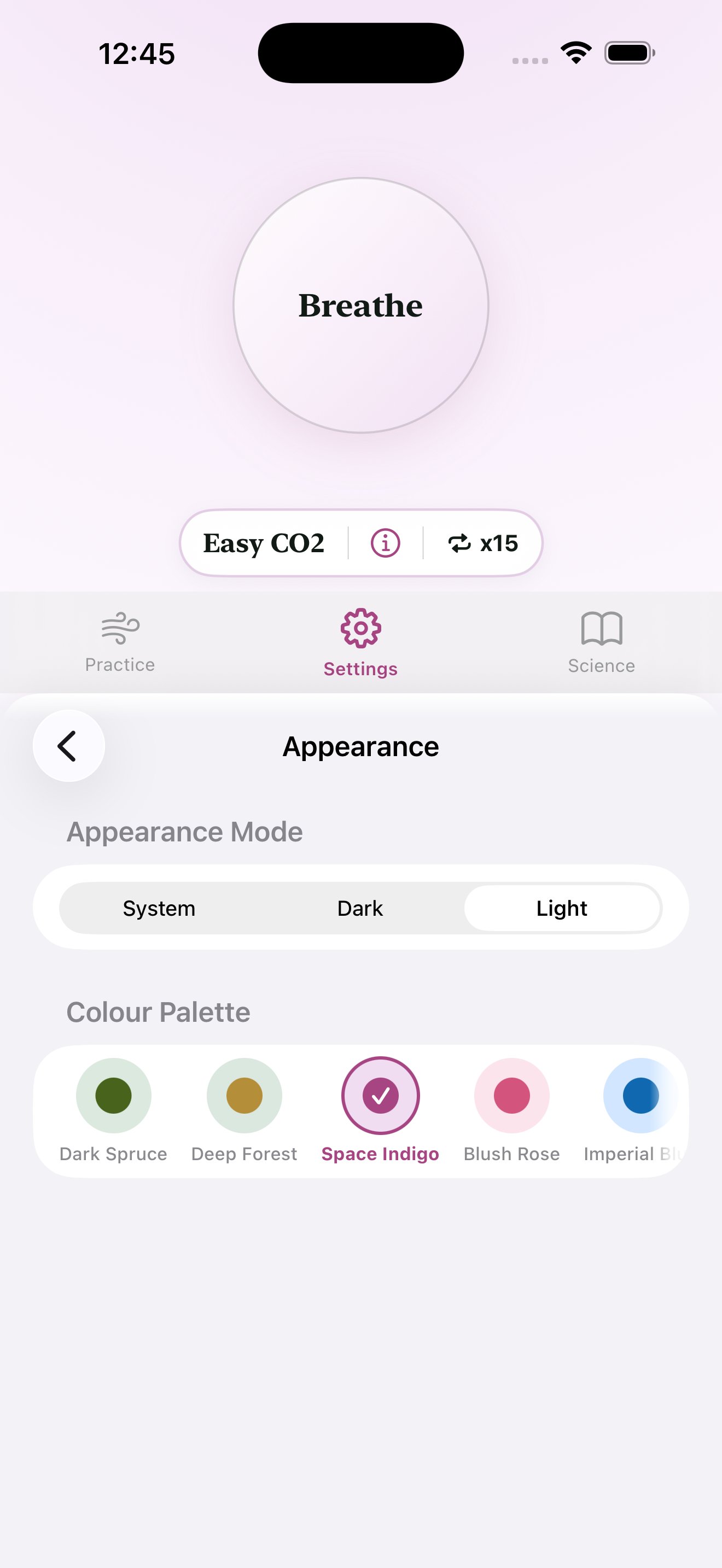 The theme picker in Ungasp